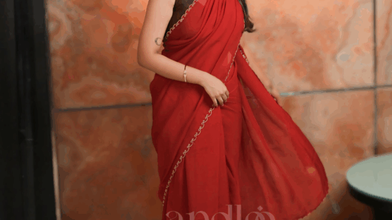 YUMI (VISCOSE ORGANZA SAREE)
