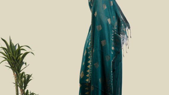 HADLEY (LINEN BANARASI SAREE)